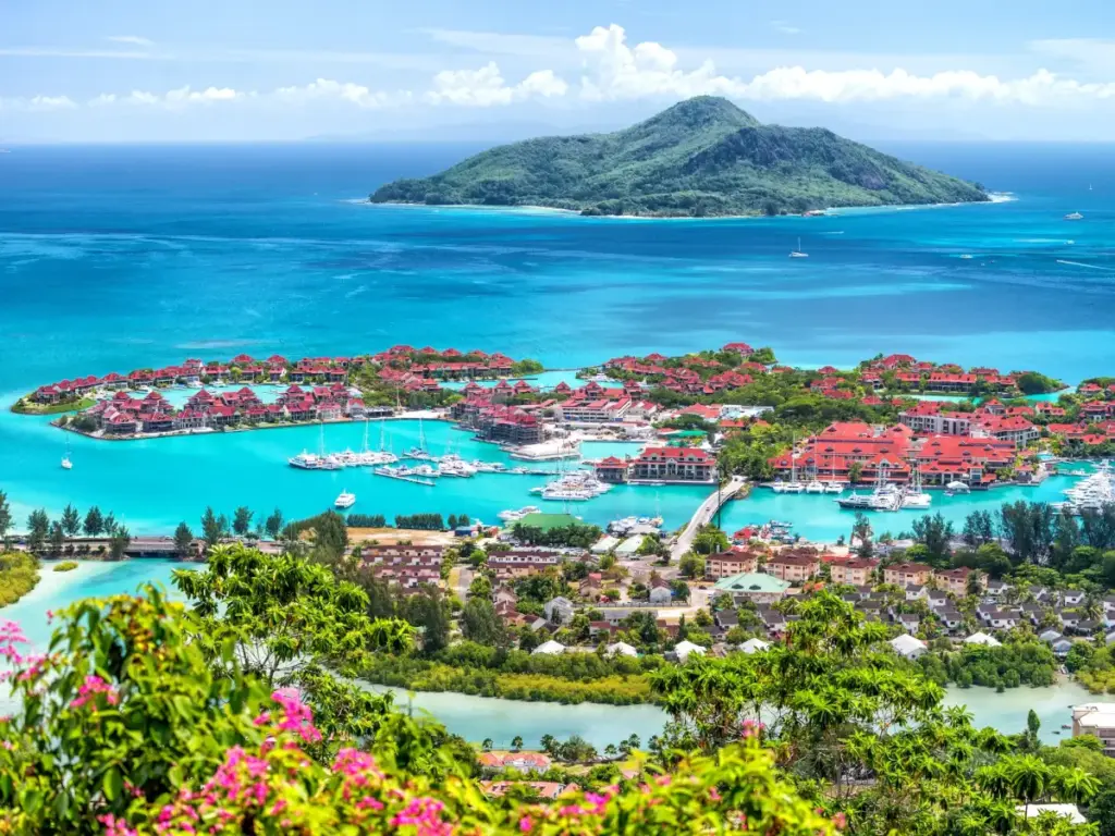 Elev8 Secures Seychelles Brokerage Licence